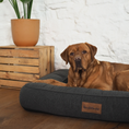 Bild in Galerie-Betrachter laden, Hundebett Toni Stone Memory Matratze
