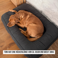 Bild in Galerie-Betrachter laden, Hundebett Toni Stone Memory Matratze