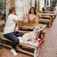 Bild in Galerie-Betrachter laden, Hundedecke To Go Amore