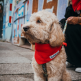Bild in Galerie-Betrachter laden, Hundehalstuch Musselin Rot