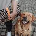 Bild in Galerie-Betrachter laden, Hundedecke To Go Stay Wild Leo Neonorange