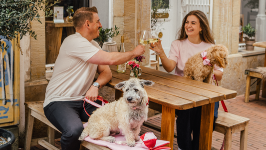 Amore – unsere neue Kollektion voller Sommer, Liebe und Osnabrück-Vibes