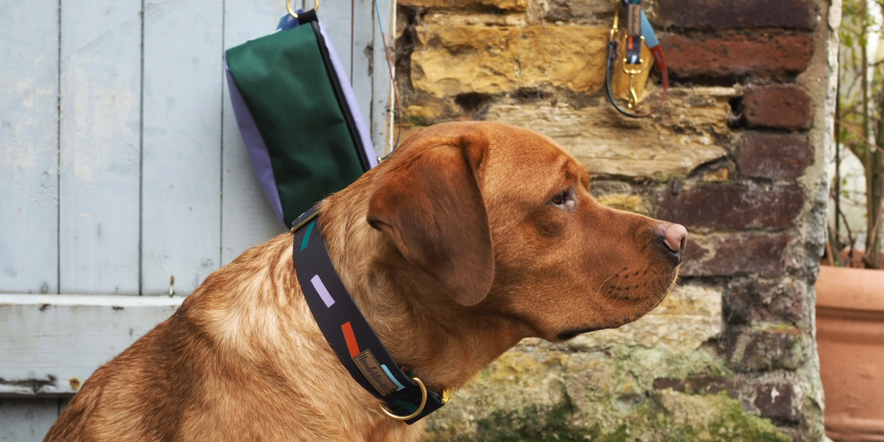 Juno Partnerlook-Kollektion