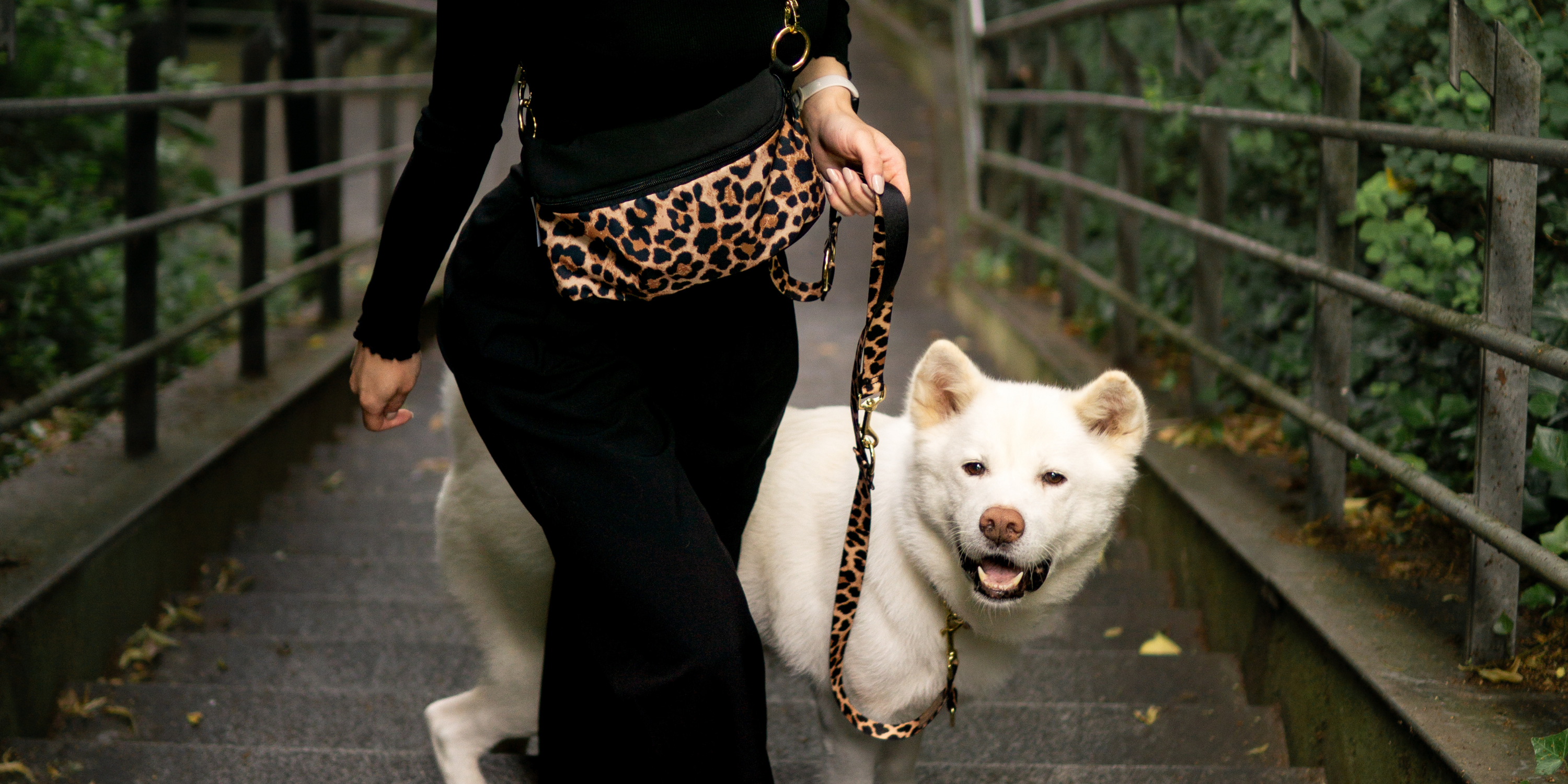 Partnerlooks für Hund & Mensch