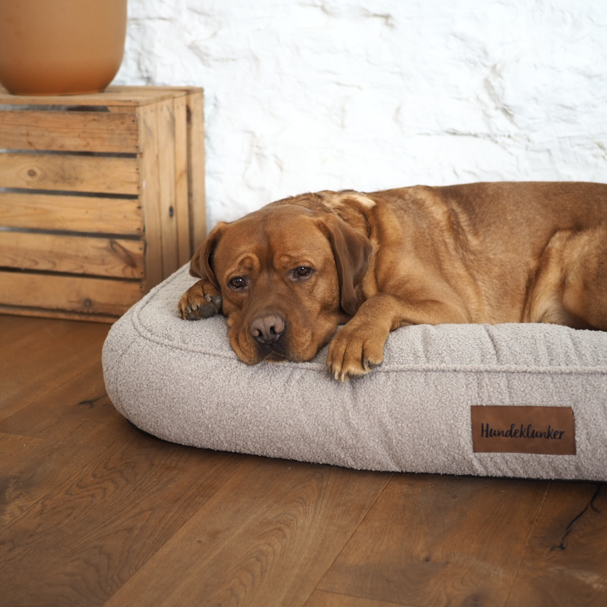 Hundebett Toni Beige Memory Matratze
