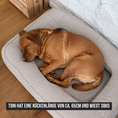 Bild in Galerie-Betrachter laden, Hundebett Toni Beige Memory Matratze
