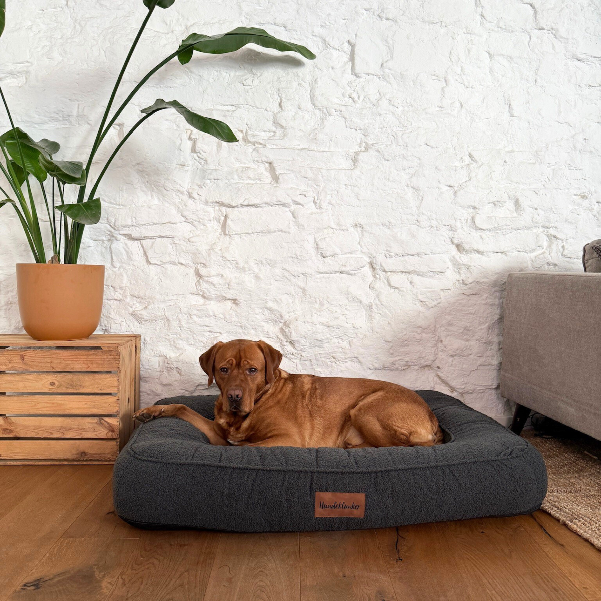 Hundebett Toni Stone Memory Matratze