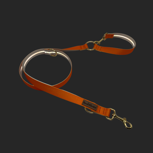 City-Hundeleine Urban meets Nature Pumpkin