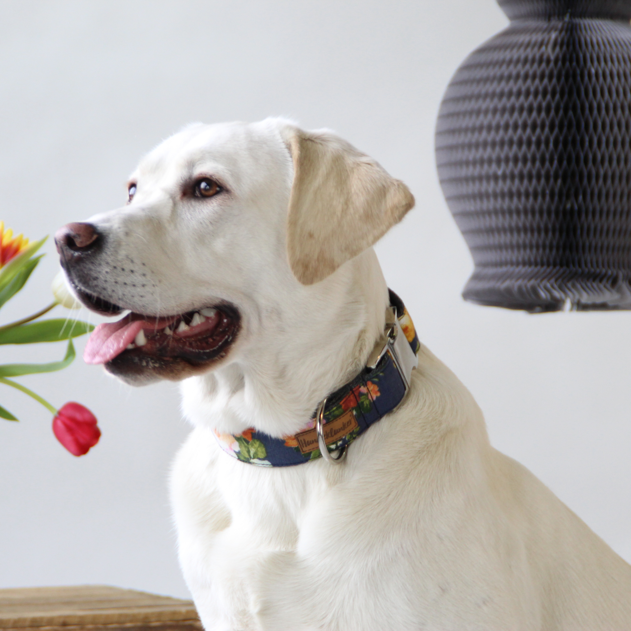 Hundehalsband Flora