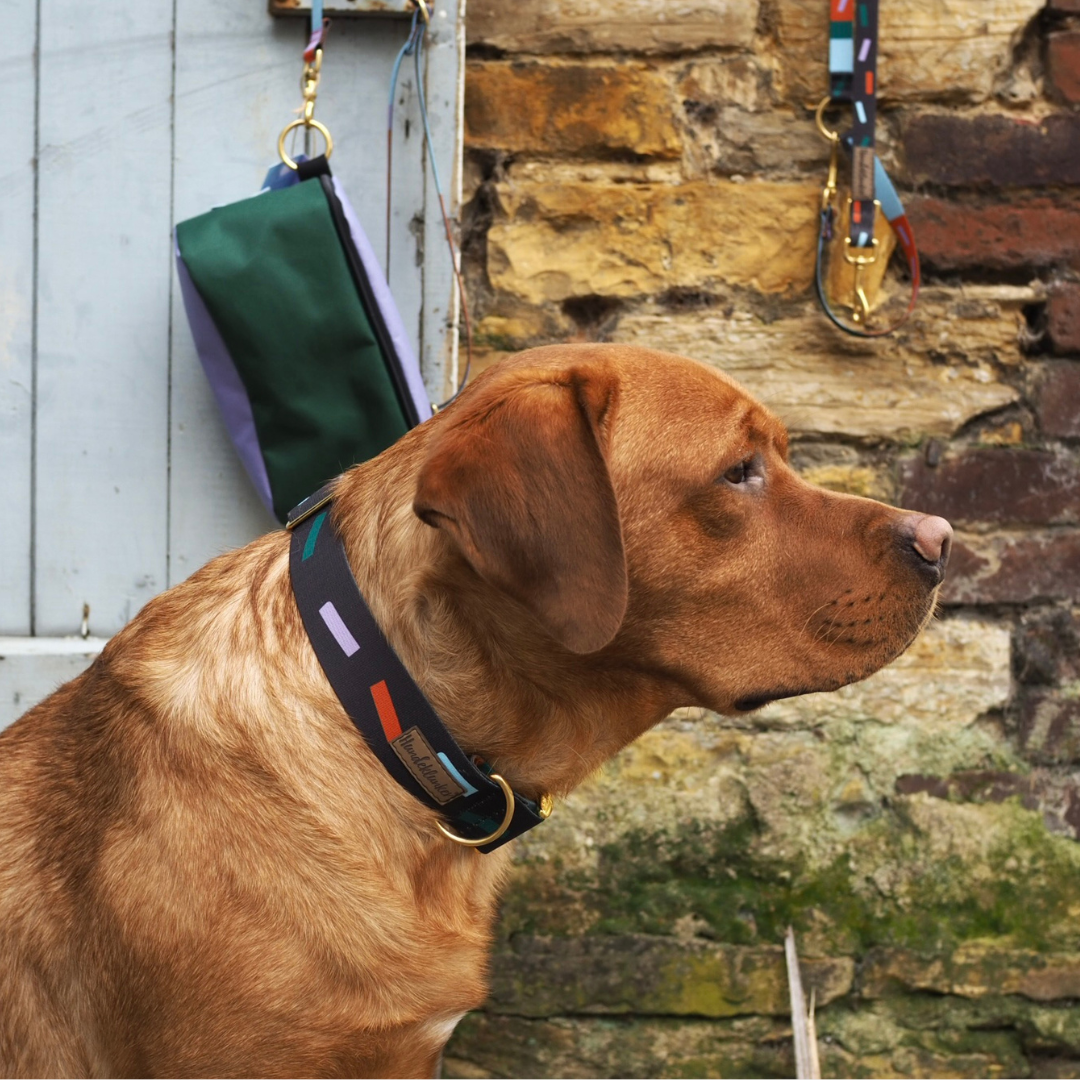 Hundehalsband Juno in Muster Juno