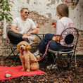 Bild in Galerie-Betrachter laden, Hundedecke To Go Amore
