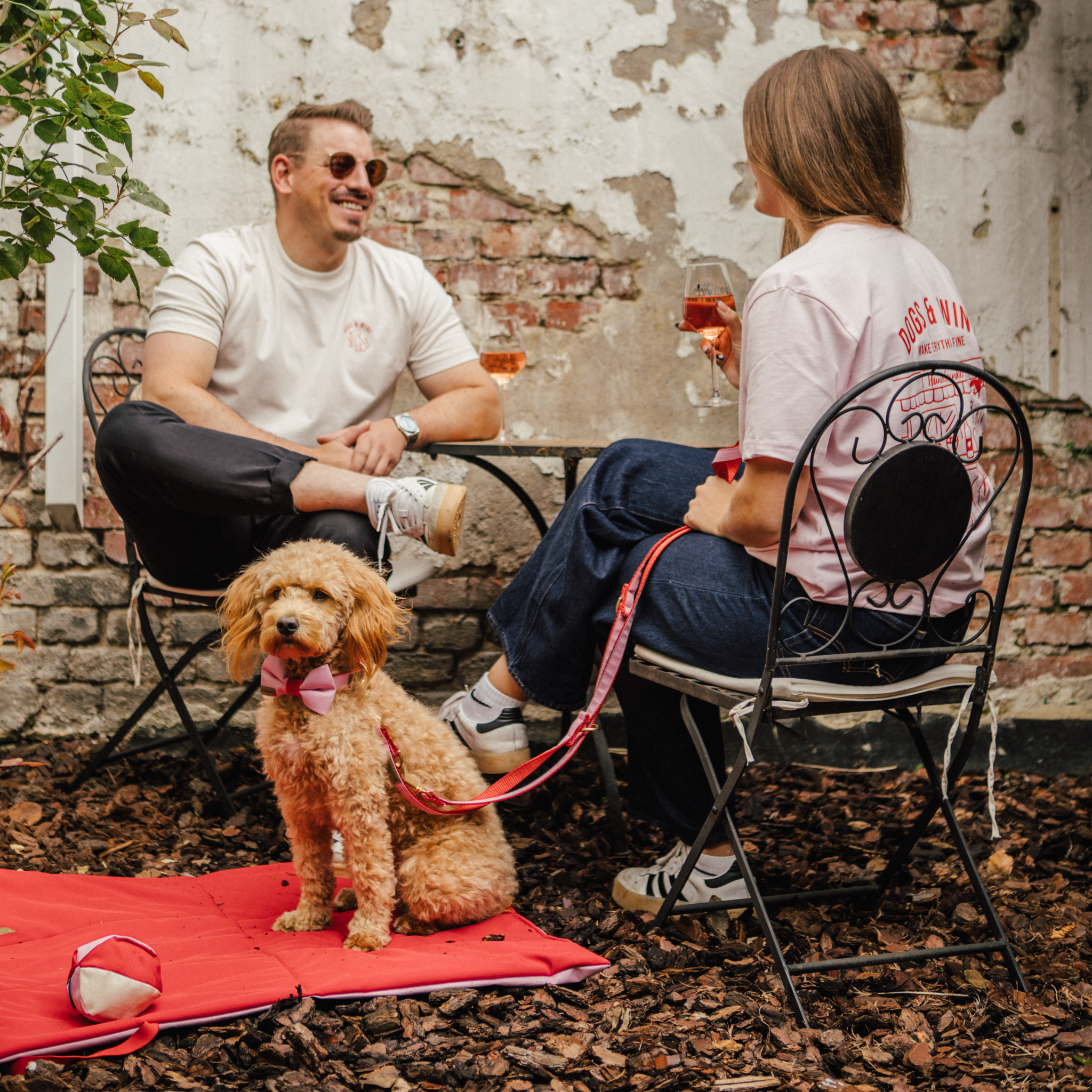 Hundedecke To Go Amore