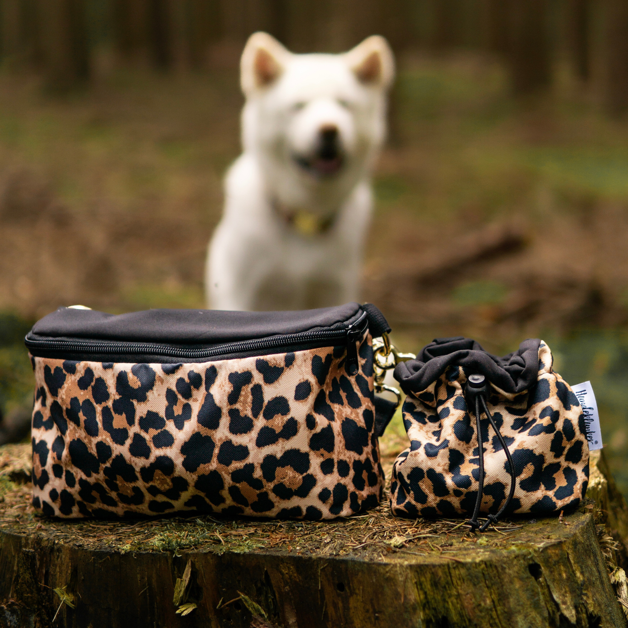 Bauchtasche Stay Wild Leo Black mit Wechselgurt