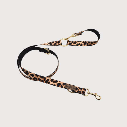 City-Hundeleine Stay Wild Leo