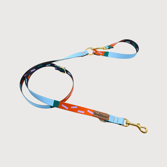 City-Hundeleine Juno Hi! Spencer