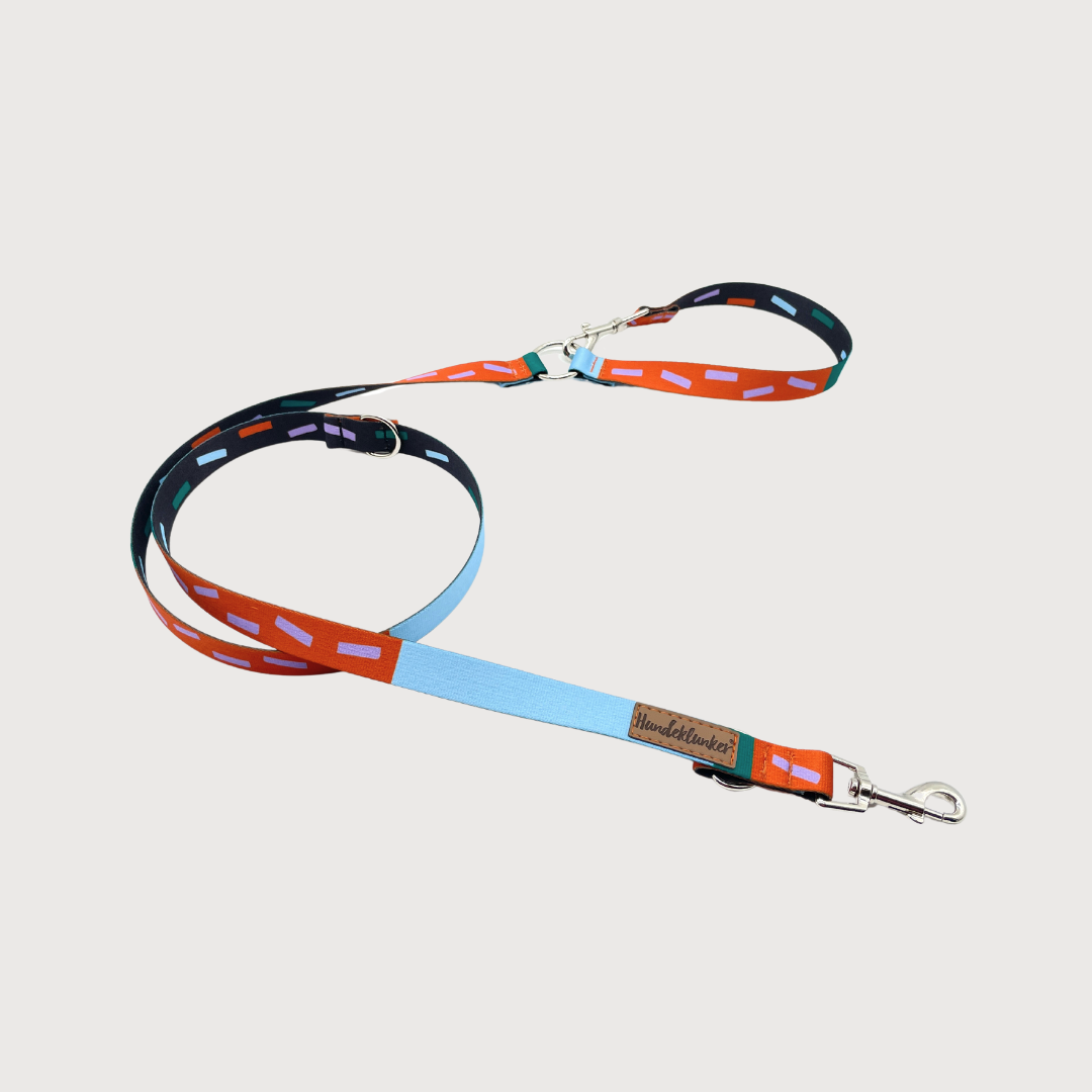 City-Hundeleine Juno Hi! Spencer