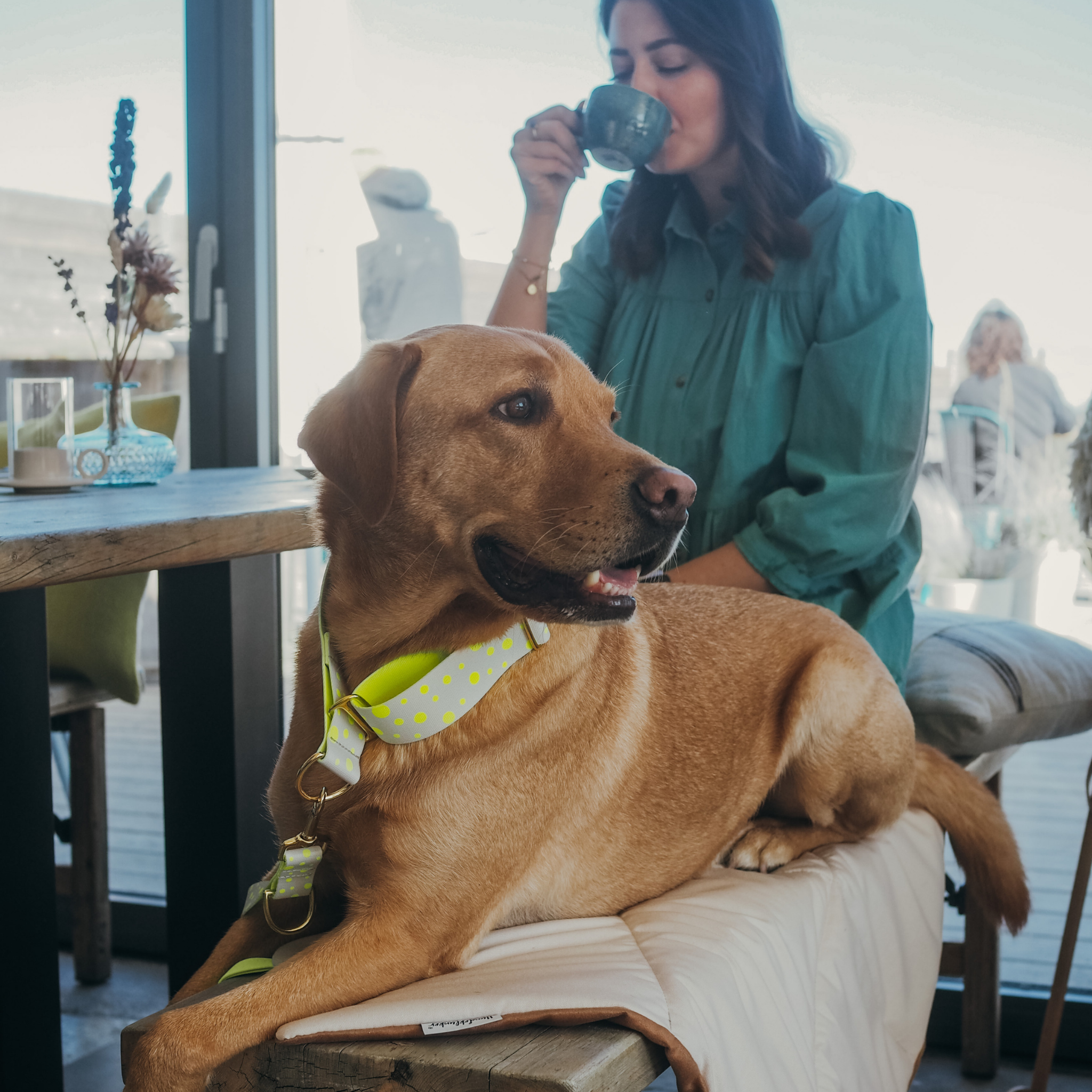 Hundedecke To Go La vie est belle Beige