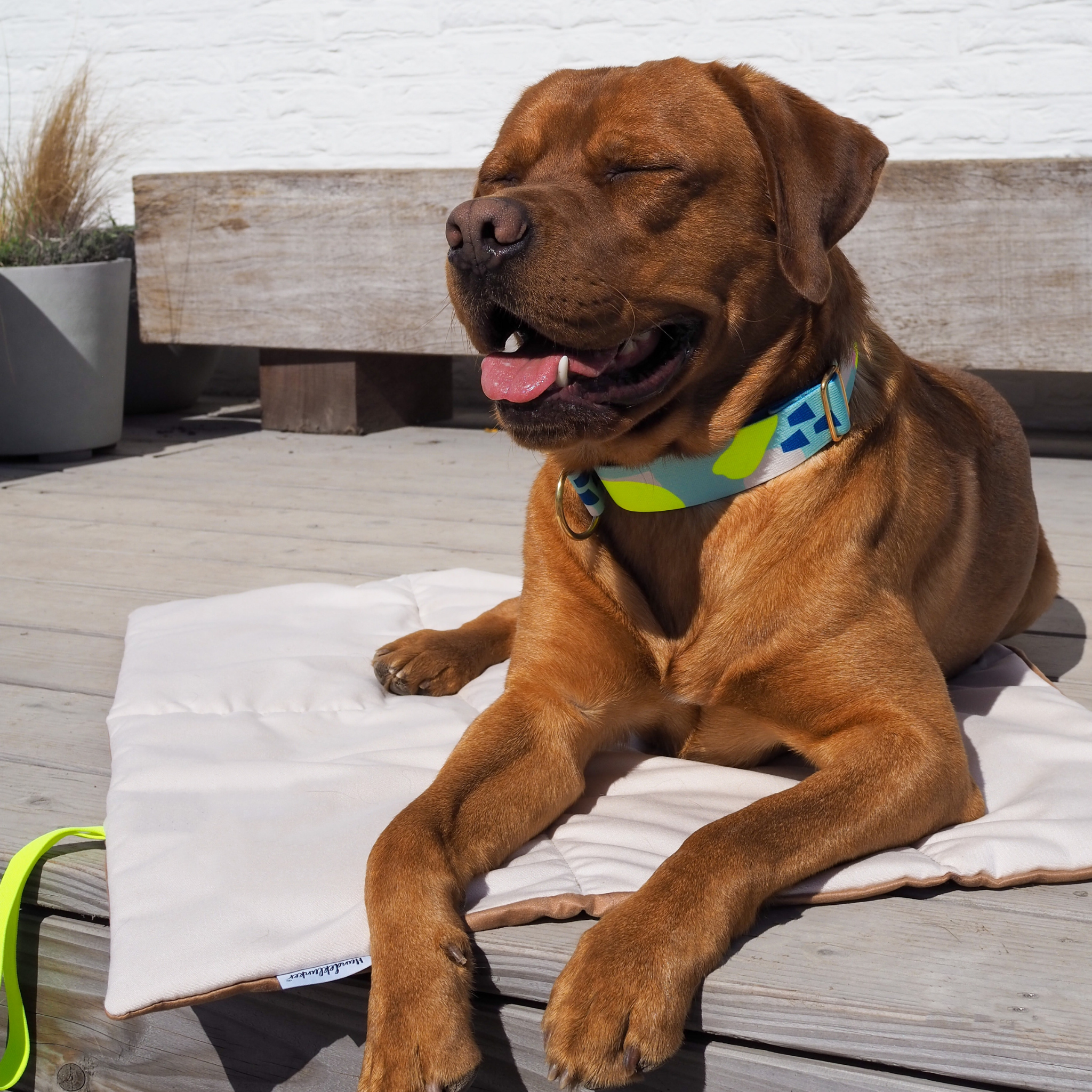 Hundedecke To Go La vie est belle Beige