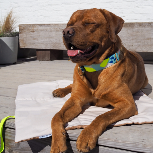 Hundedecke To Go La vie est belle Beige