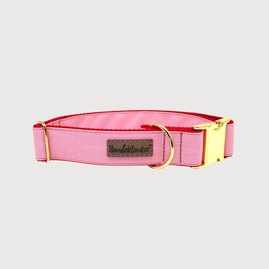 Hundehalsband Amore