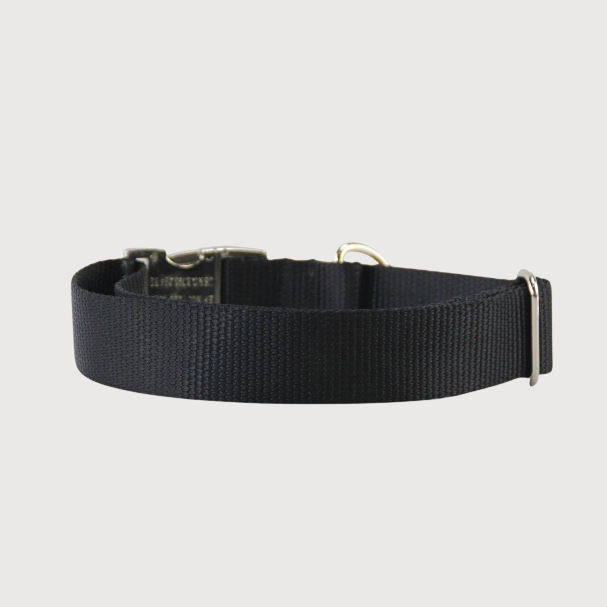 Hundehalsband Basic Schwarz