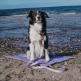 Bild in Galerie-Betrachter laden, Hundedecke To Go La vie est belle Lavendel

