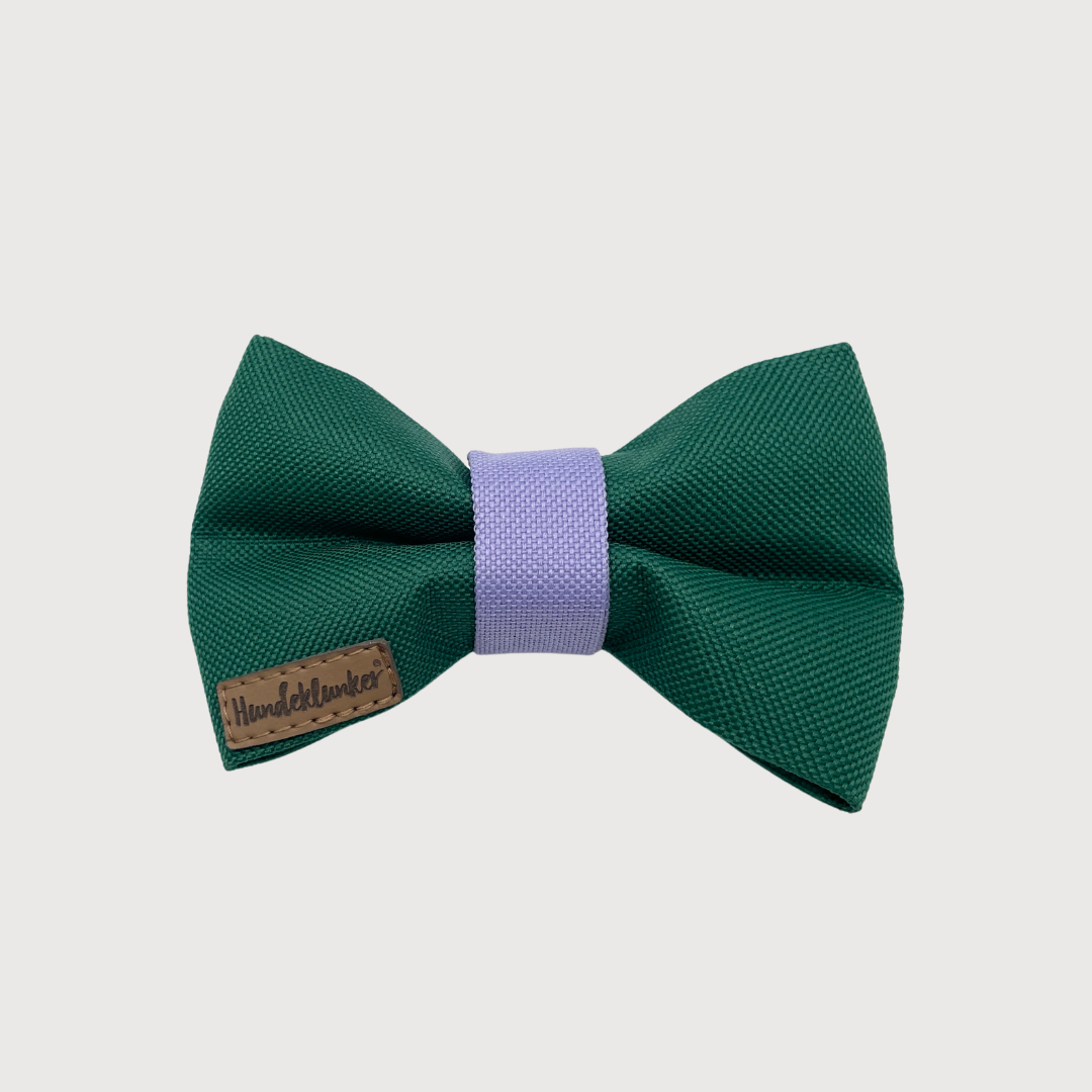 Hundefliege Juno in Juno