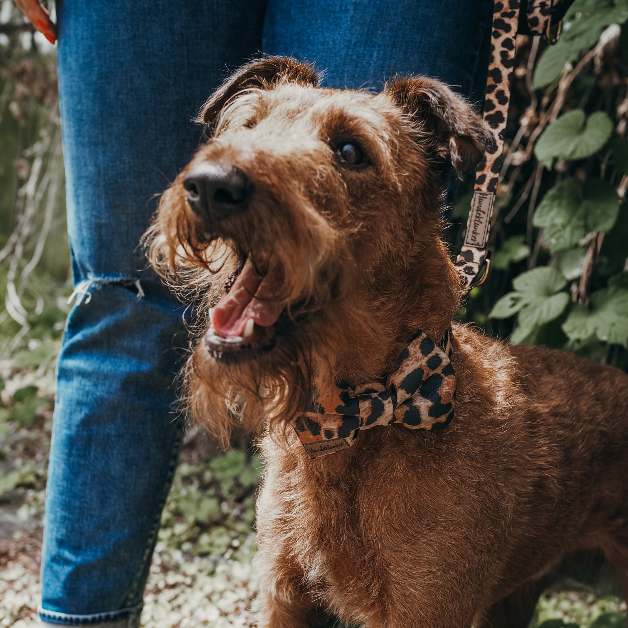 Hundefliege Stay Wild Leo