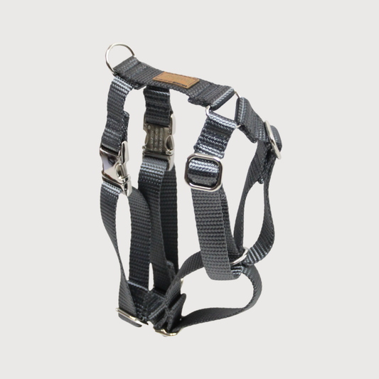 Hundegeschirr Basic Anthrazit