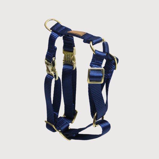 Hundegeschirr Basic Blau