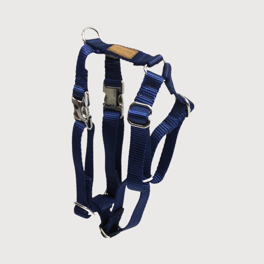 Hundegeschirr Basic Blau