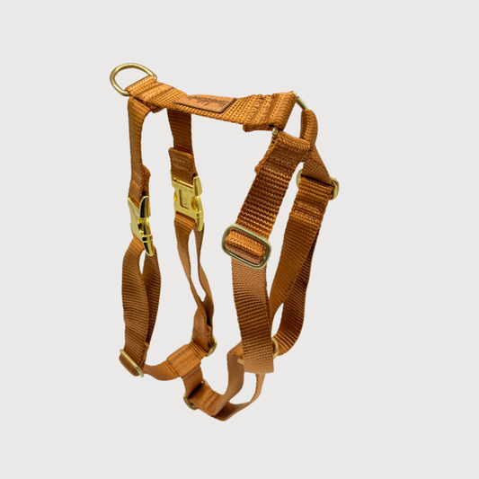 Hundegeschirr Basic Cognac