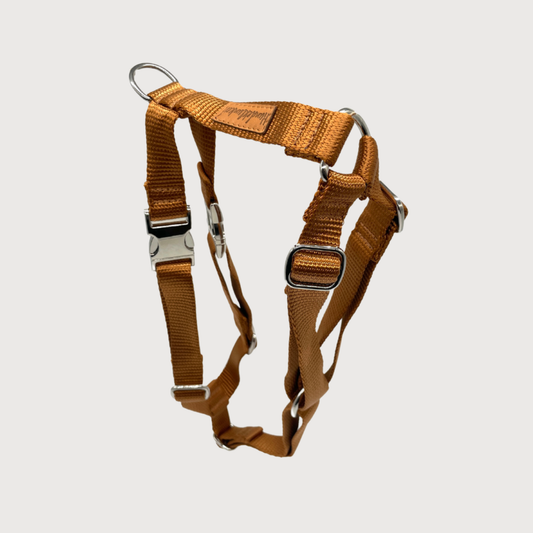 Hundegeschirr Basic Cognac