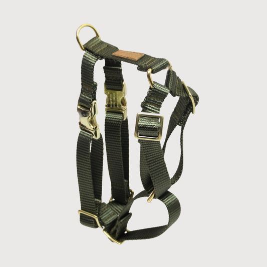 Hundegeschirr Basic Oliv