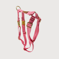 Bild in Galerie-Betrachter laden, Hundegeschirr Basic Pink
