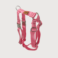 Bild in Galerie-Betrachter laden, Hundegeschirr Basic Pink
