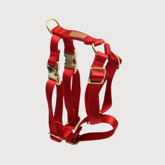 Hundegeschirr Basic Rot