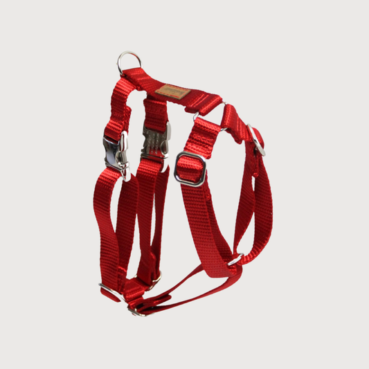 Hundegeschirr Basic Rot