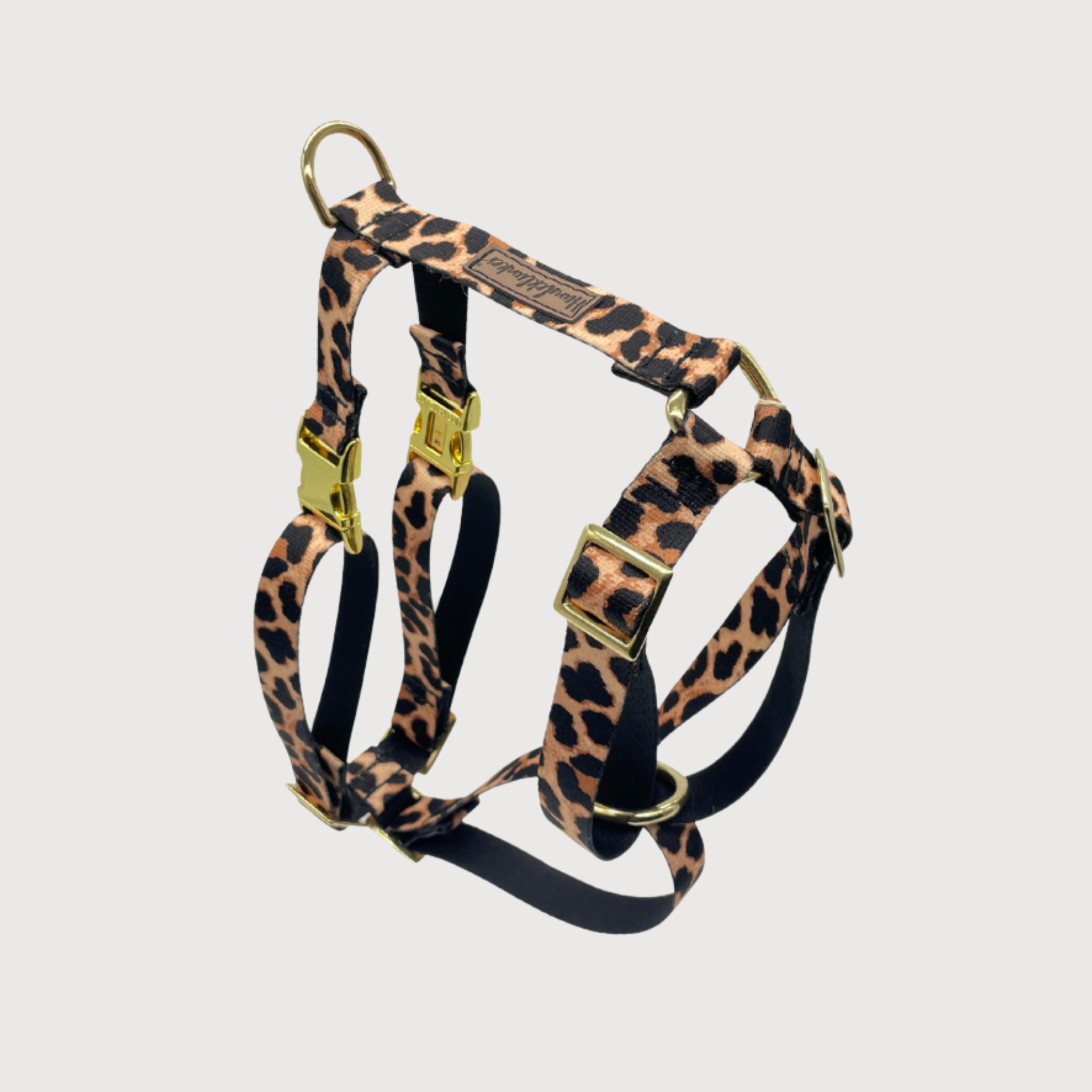 Hundegeschirr Stay Wild Leo