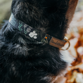 Bild in Galerie-Betrachter laden, Hundehalsband Urban meets Forest Walkies
