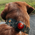 Bild in Galerie-Betrachter laden, Hundehalsband Urban meets Forest Walkies
