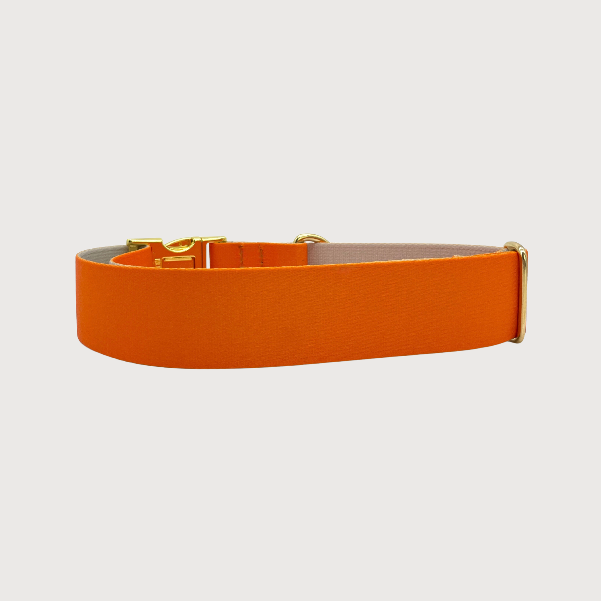 Hundehalsband Urban meets Nature Pumpkin