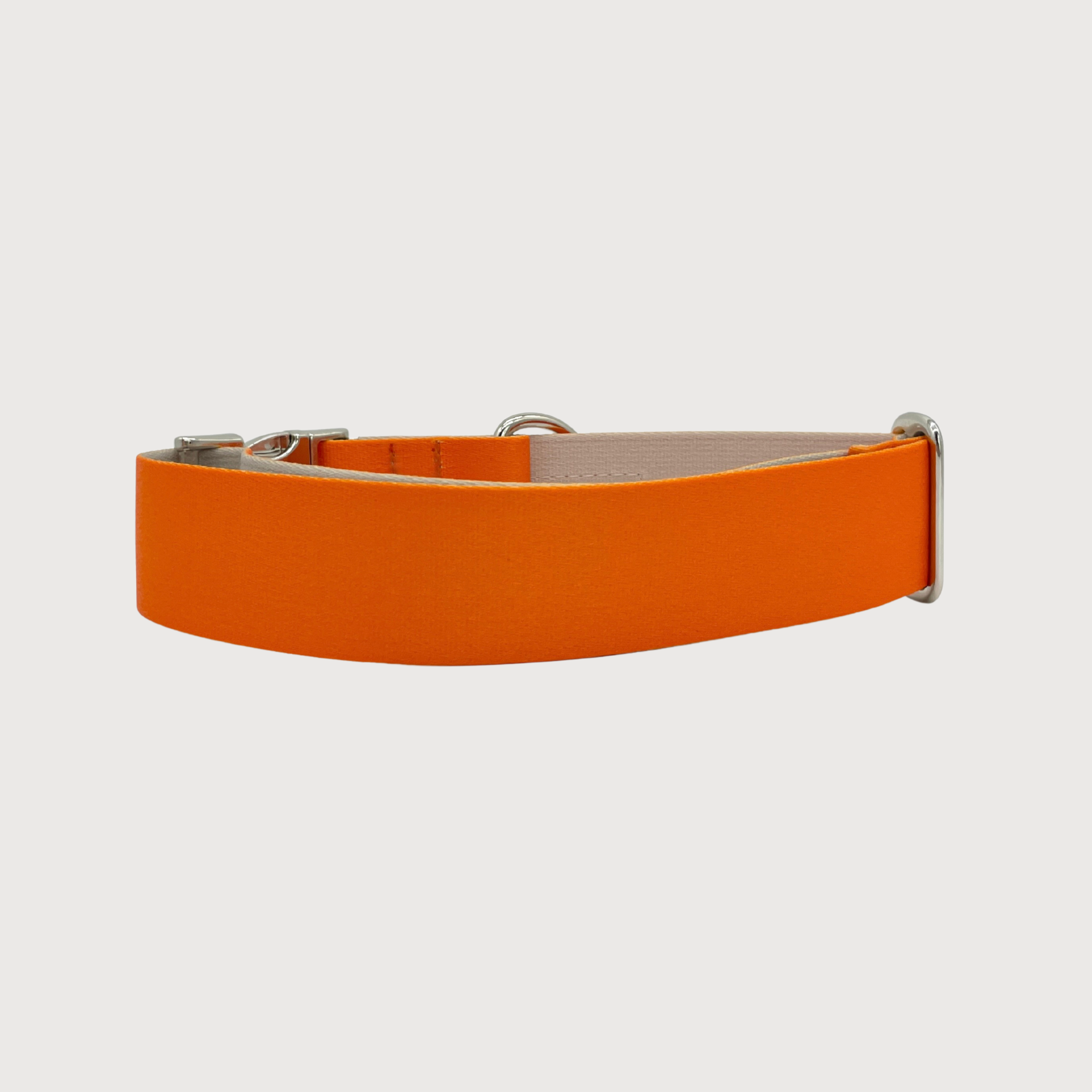 Hundehalsband Urban meets Nature Pumpkin