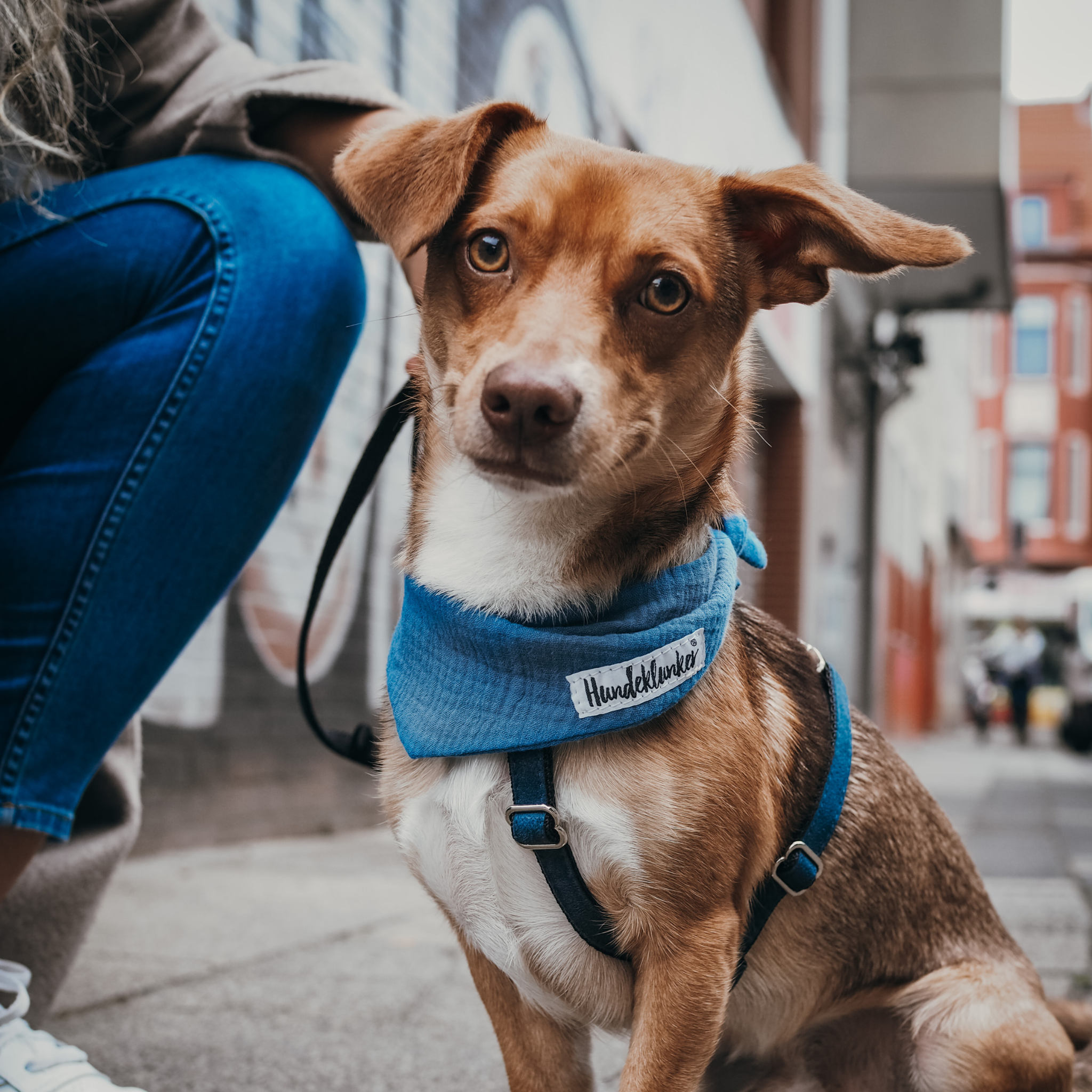 Hundehalstuch Musselin Friesenblau