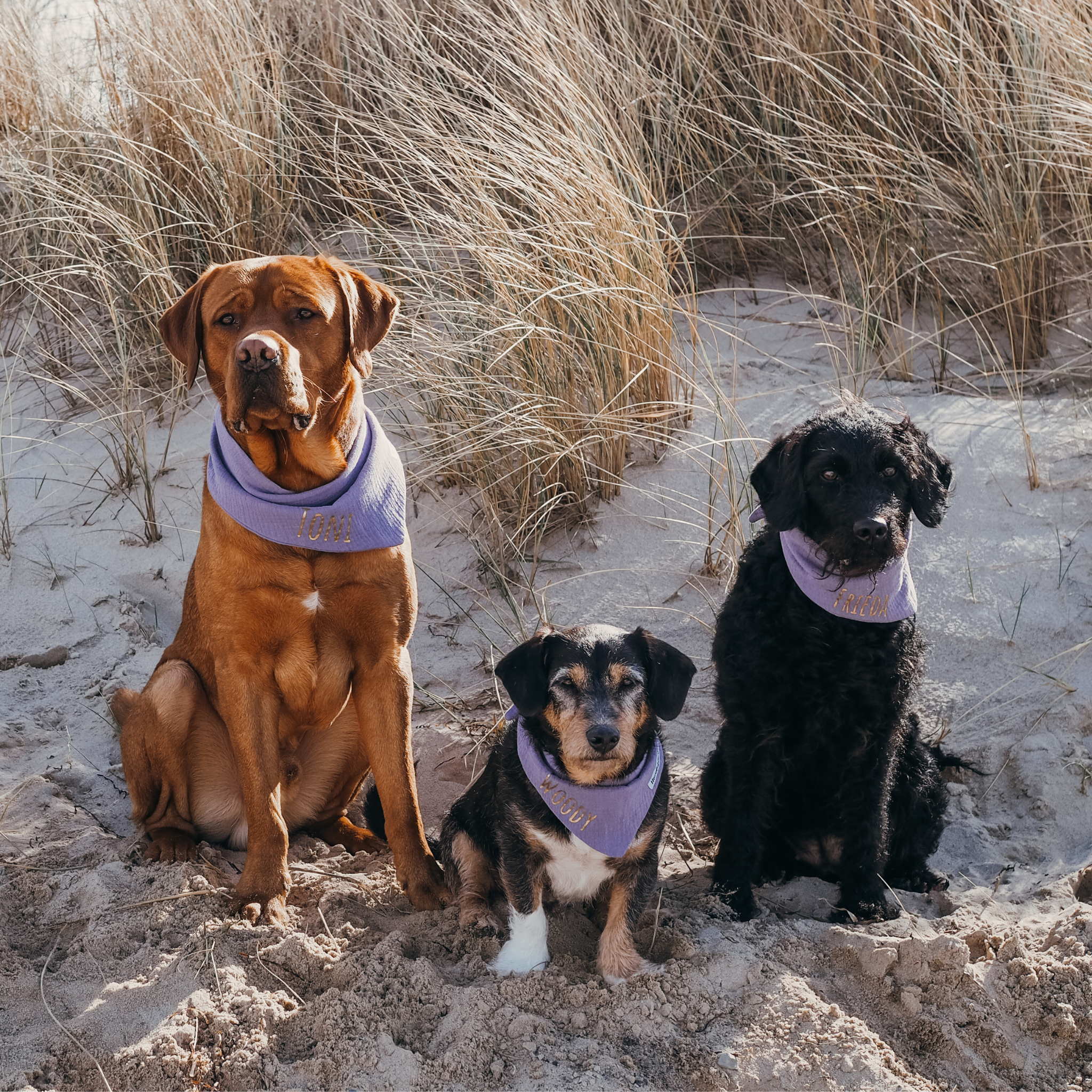 Hundehalstuch Musselin Lavendel