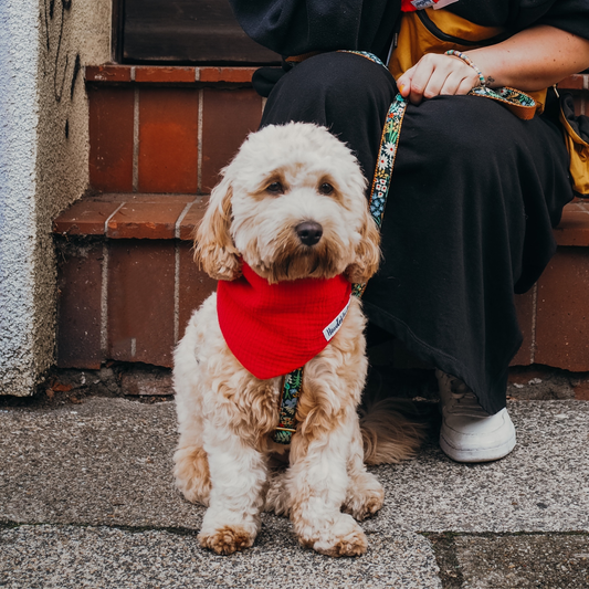 Hundehalstuch Musselin Rot