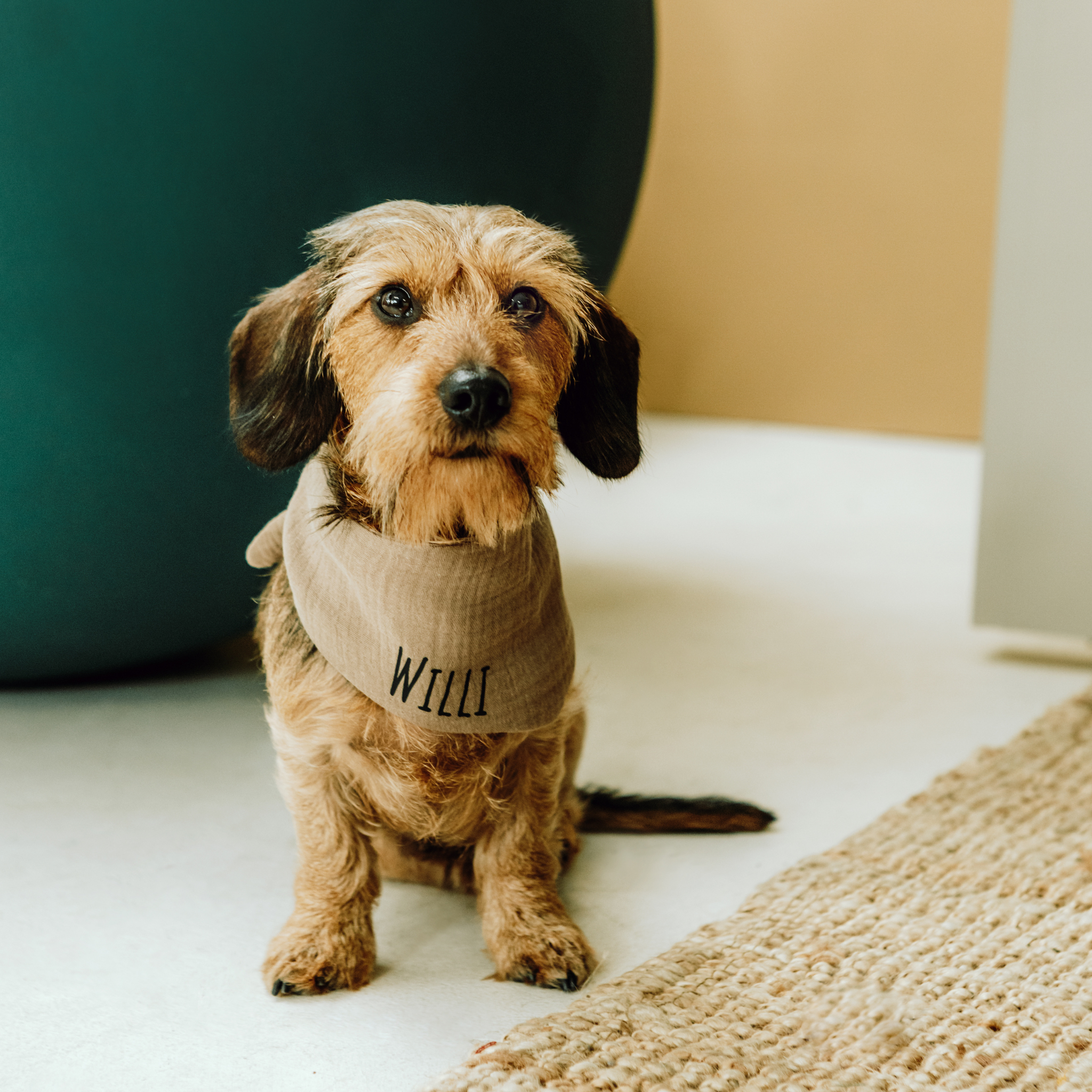 Hundehalstuch Musselin Taupe