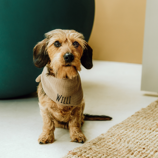 Hundehalstuch Musselin Taupe