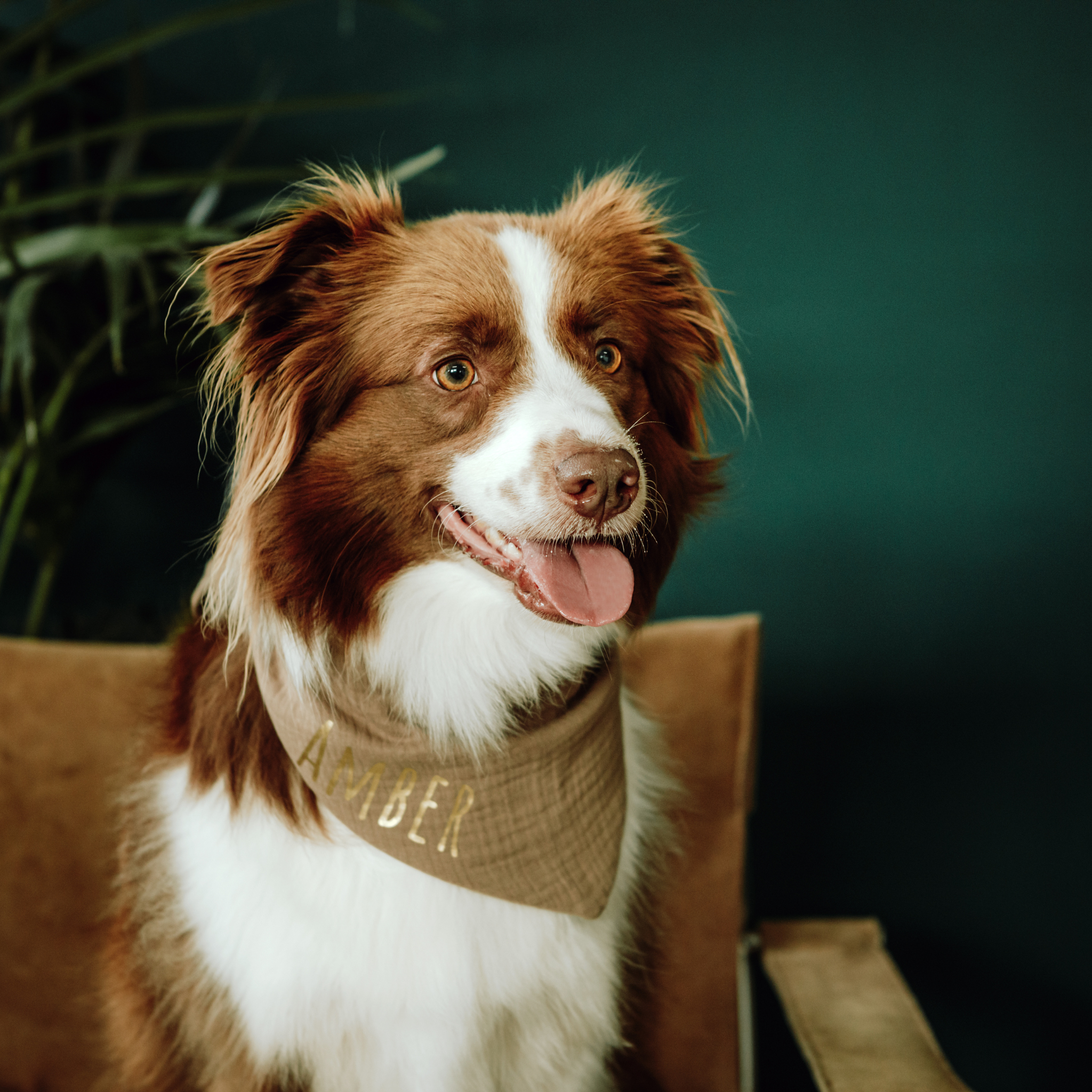 Hundehalstuch Musselin Taupe