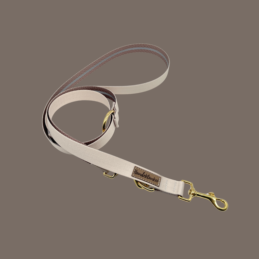 Hundeleine Urban meets Nature Beige